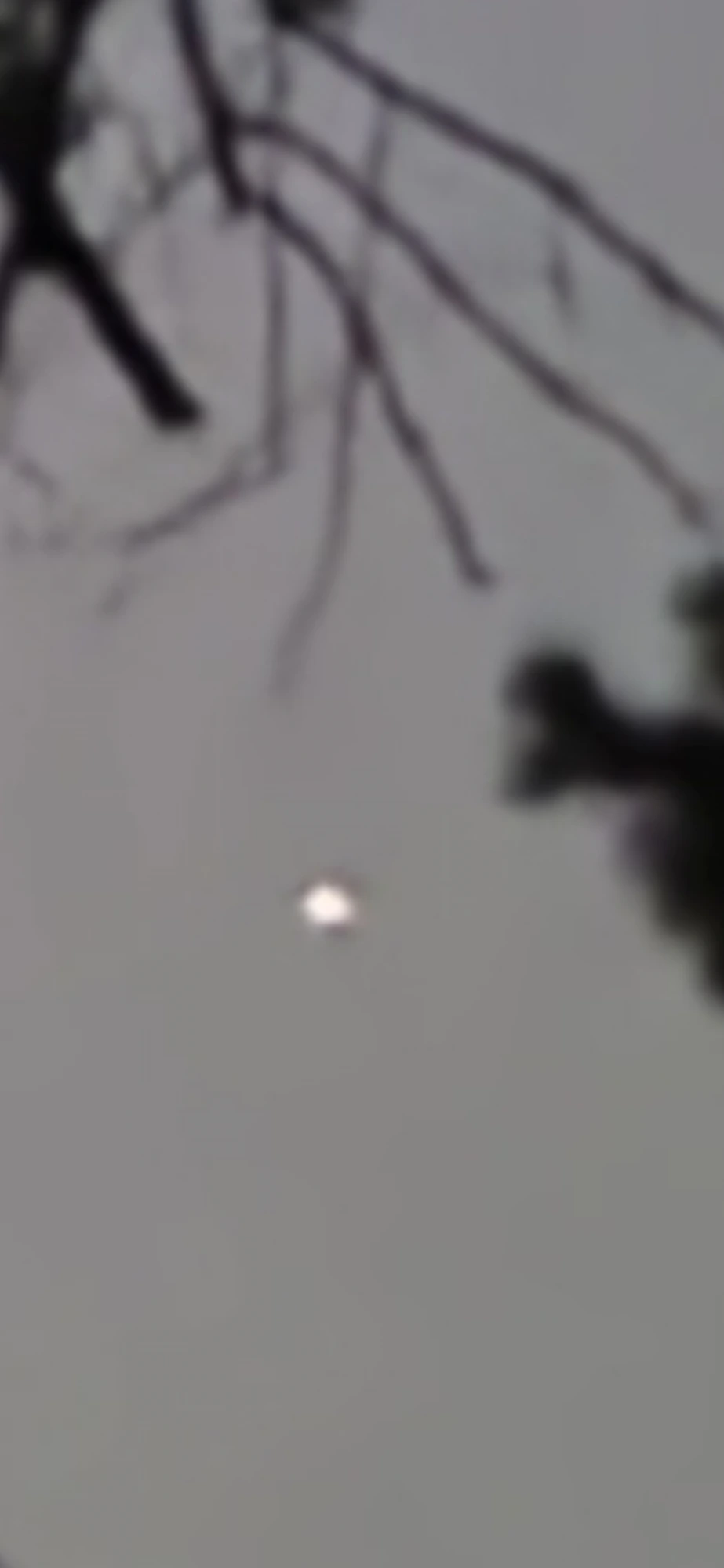 First zoom frame showing the star-mimic orb as a small bright pinpoint in the sky with tree branches silhouetted at the top of the frame — context establishing shot before deeper magnification